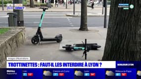 Faut-il interdire les trottinettes électriques en libre-service à Lyon ?