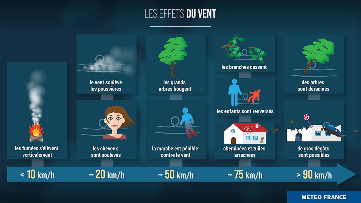 Les effets du vent en fonction de sa vitesse. Les effets du vent en fonction de sa vitesse.