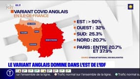 Covid-19: le variant britannique désormais majoritaire dans l'est de l'Île-de-France