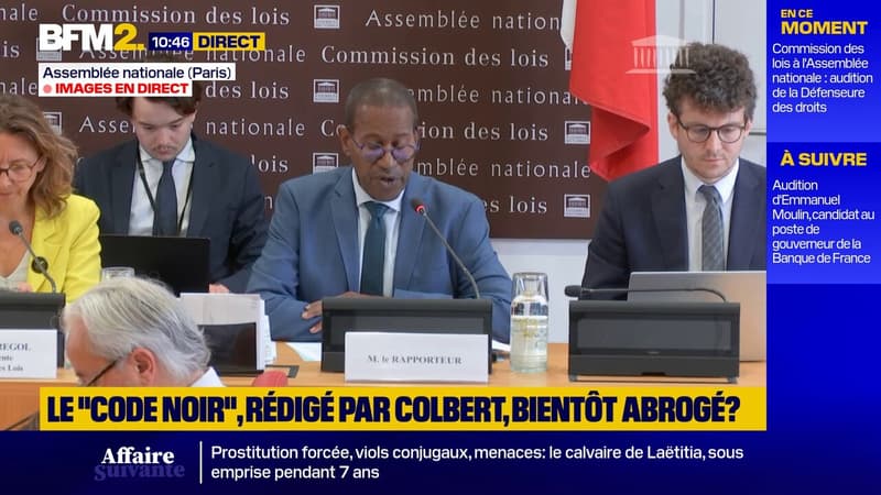 "Un geste symbolique et politique puissant": une proposition de loi visant à abroger formellement le "Code noir" examinée par les députés