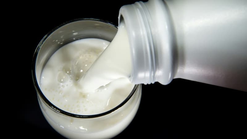 Prix du lait: une étude dénonce une hausse qui a plus profité aux distributeurs qu'aux éleveurs