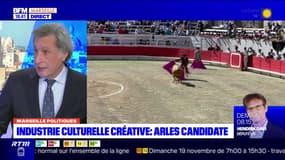 Le maire d'Arles veut développer un tourisme quatre saisons