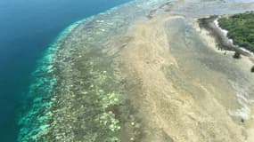 Photographie non datée transmise le 29 mars 2016 par le Centre d'excellence pour l'études des récifs coraliens montrant le blanchiment de la Grande Barrière de corail entre Cairns et la Papouasie-Nouvelle-Guinée, au large du Queensland a...