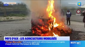 JT du Sud du jeudi 14 novembre