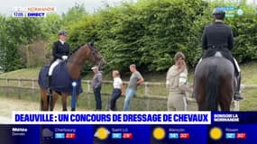 Deauville: un concours de dressage de chevaux