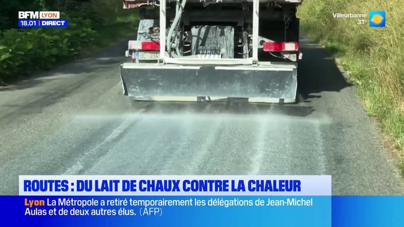 Routes : Du lait de chaux contre la chaleur