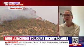 Incendie dans l'Aude: Émilie Verdale, vigneronne à Saint-Laurent-de-la-Cabrerisse, se questionne : "Comment on va se relever de tout ça?"