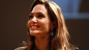 Angelina Jolie a été nommée émissaire spéciale du Haut Commissariat de l'Onu pour les réfugiés (HCR) pour apporter sa notoriété de star mondiale du cinéma à la cause des plus grandes catastrophes humanitaires de la planète. L'actrice américaine occupait d