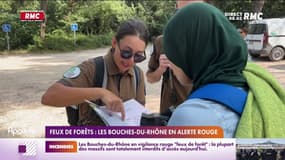 Feux de forêts: les Bouches-du-Rhône en alerte rouge