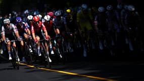 Le peloton du Tour de France lors de la 4e étape, le 8 juillet 2025