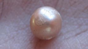 Photo fournie par l'University of Wollongong le 3 juin 2015 montrant une perle naturelle vieille de 2000 ans