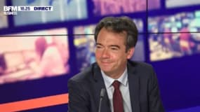 "Nous finirons l'année avec une perte de 10 à 15% de notre chiffre annuel, ce qui est une vraie performance" explique Cyril Lignette.