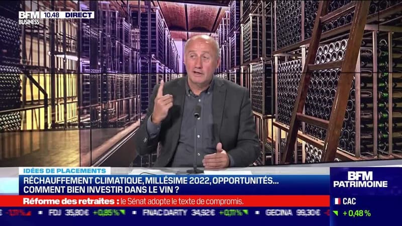 Idée de placements: Réchauffement climatique, millésime 2022, opportunités... comment bien investir dans le vin ? - 16/03