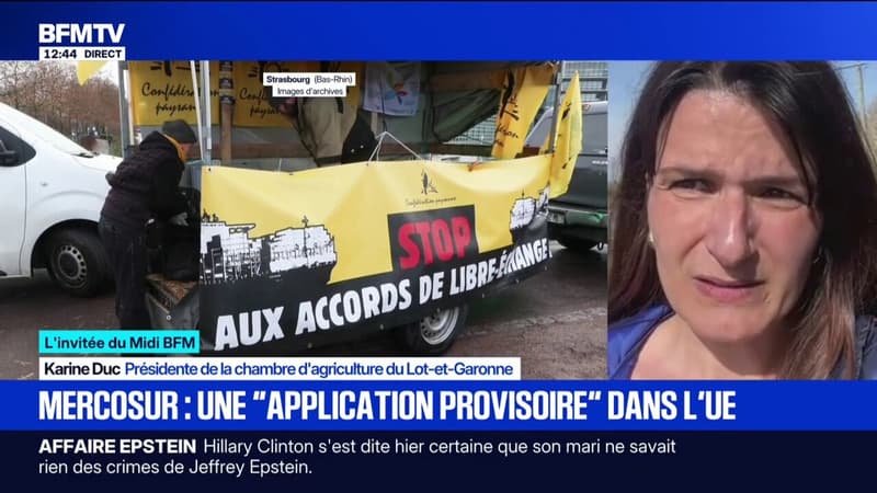 Application du Mercosur: "Nos représentants n'ont plus les cartes entre les mains", selon Karine Duc, présidente de la chambre d'agriculture du Lot-et-Garonne