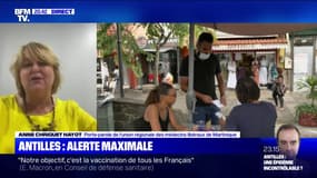 Anne Criquet-Hayot, médecin en Martinique: "Nous avons une augmentation de 88% des morts" entre le 4 juillet et le 10 août