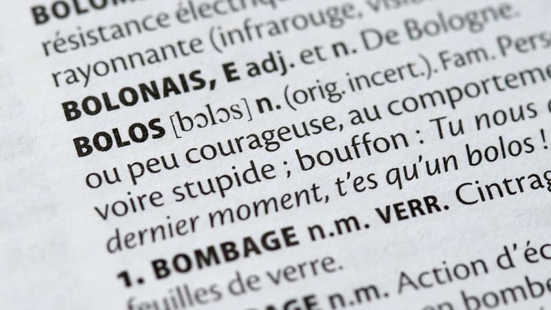 De "Covid-19" à "racisé", 170 mots font leur entrée dans Le Petit Larousse
