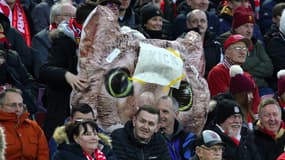 Un chat géant présent dans les tribunes d'Anfield.