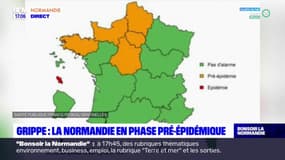 Grippe: la Normandie en phase pré-épidémique