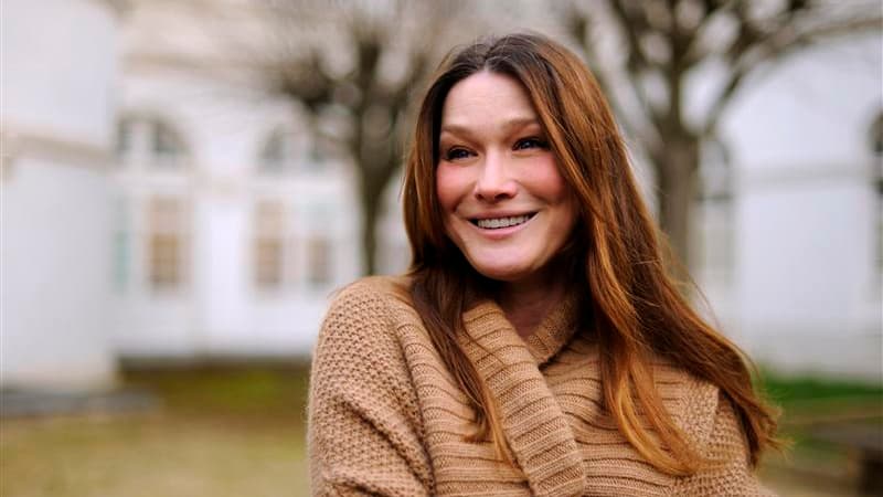 En visite jeudi à l'hôpital de Garches (Hauts-de-Seine), où elle a assisté à un concert de musique classique organisé par sa fondation pour des enfants handicapés, Carla Bruni-Sarkozy s'est déclarée prête à participer à la campagne pour la réélection de N