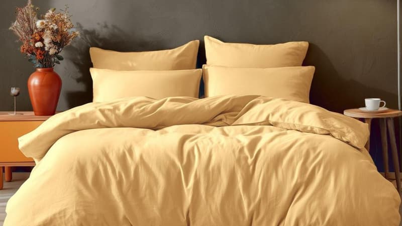 Voici une bonne affaire à ne pas laisser passer sur une housse de couette en coton chez Auchan