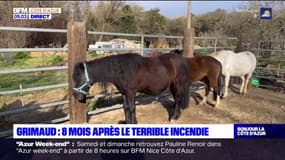 Grimaud: huit mois après l'incendie, le ranch de la Mène se reconstruit