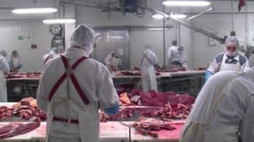Une usine de viande (illustration)
