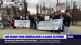 Strasbourg: une manifestation pour demander la généralisation de la garde alternée