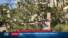 Après les températures estivales, le froid revient en France cette semaine 