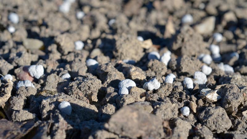 Les prix des engrais ont explosé avec la crise du détroit d'Ormuz: le gouvernement annonce 145 millions d'euros d'"aides d'urgence" pour les agriculteurs
