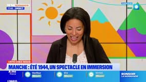 Manche : Été 1944, un spectacle en immersion