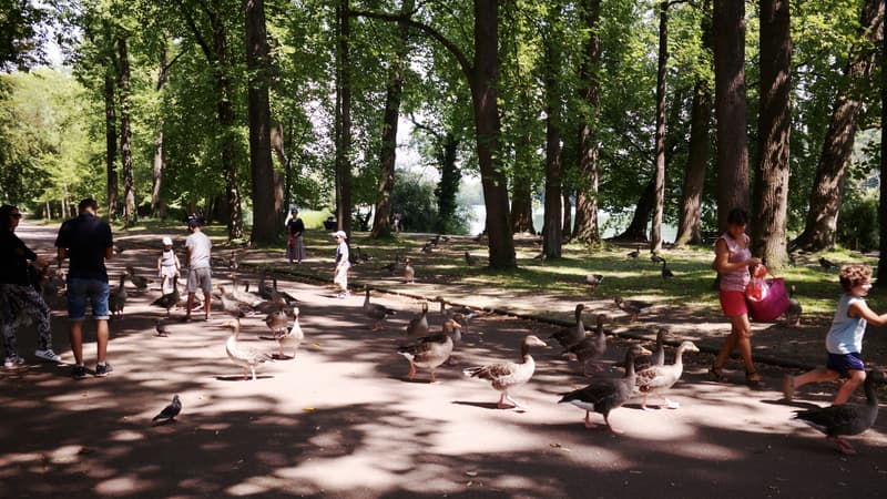 Un parc lyonnais (photo d'illustration)