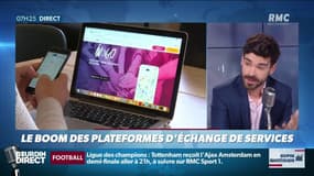 "Dupin quotidien": le boom des plateformes d'échange de services