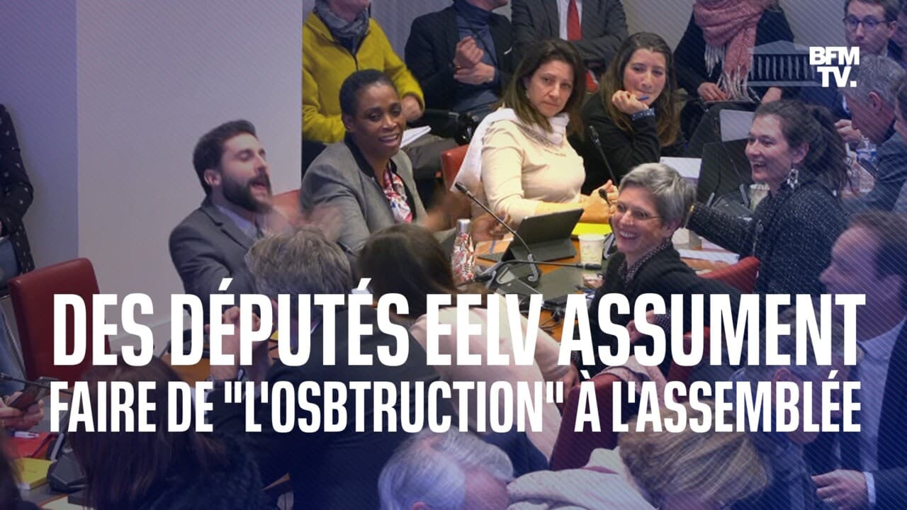 In the Social Affairs Committee, the EELV deputies assume to do “obstruction” to “be the echo of the street”