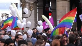 Manifestants en faveur du mariage homosexuel à Lyon, ce samedi