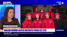 C votre emploi du mercredi 3 mai 2023 -  Walibi Rhône-Alpes recrute pour cet été