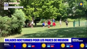Meudon: les parcs ouverts jusqu'à 22 heures les jours où le mercure dépasse les 28°C