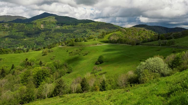 "DÉGRADATION, SUREXPLOITATION ET PERTE DE BIODIVERSITÉ": L’EUROPE DOIT REDOUBLER D’EFFORTS POUR SAUVER SA NATURE, SELON UN RAPPORT