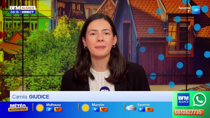 Bonjour Alsace du vendredi 12 décembre 2025