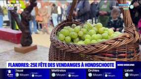Flandres: la 25e fête des vendanges à Hondschoote