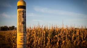 Avec cette unité de production "à échelle industrielle au Nebraska", Totalenergies et TES visent des capacités d'environ 250 MW pour l'électrolyse et 75.000 tonnes par an pour la méthanation.