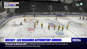 Hockey: les Dragons de Rouen affrontent Amiens ce vendredi soir