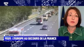 Feux : L'Europe vole au secours de la France - 11/08