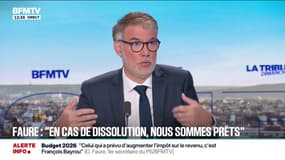 Olivier Faure (PS): "En cas de dissolution de l'Assemblée nationale, nous serons prêts"