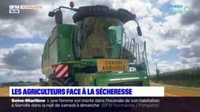 Normandie les agriculteurs face à la sécheresse