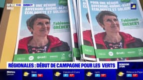 Régionales en Auvergne-Rhône-Alpes : début de campagne pour les verts