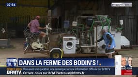 Dans la ferme des Bodin's !