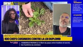 Glenn Viel, chef triplement étoilé, soutient la pétition contre la loi Duplomb