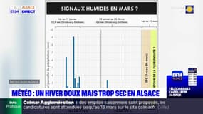 Météo en Alsace: un hiver doux, mais trop sec