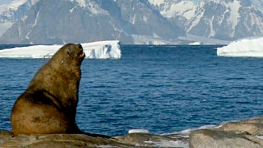 Le climat au coeur des discussions jusqu'à vendredi à Doha