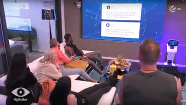 Les candidats de la saison 13 de "Big Brother" Allemagne, quelques jours après le début du programme